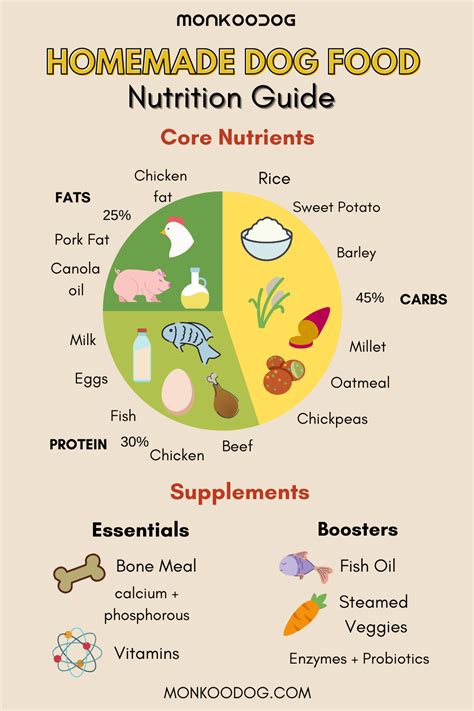 A Holistic Approach to Canine Nutrition