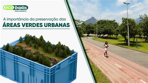 A Importância das Ações Verdes