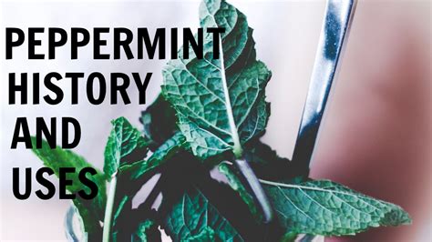 A Journey into Peppermint's History