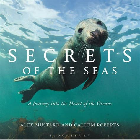 A Journey into the Heart of the Sea