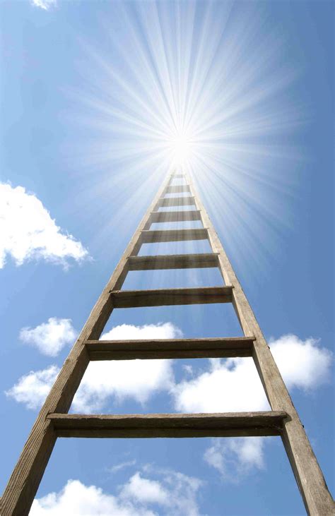 A Ladder to the Sky Doc