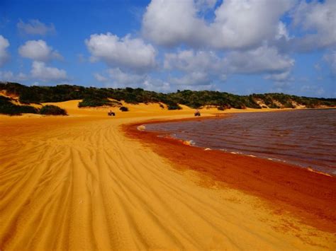 A Lagoa de Alcaçuz: Um Oásis no Semiárido Brasileiro