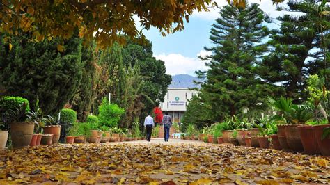 A Legacy of Excellence: A Cornerstone of Higher Education