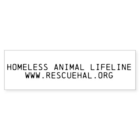 A Lifeline for Homeless Animals