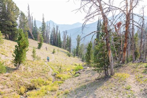 A Literary Journey through the Shoshone National Forest