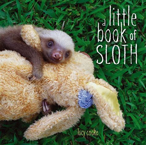 A Little Book of Sloth Ebook Reader