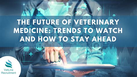 A Look into the World of Veterinary Medicine: