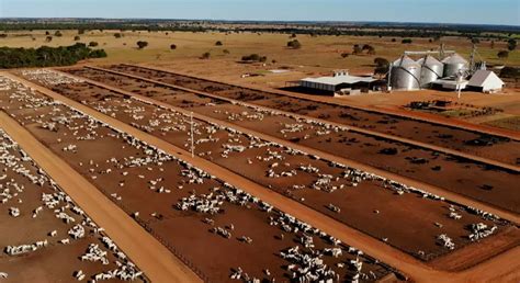 A Maior Fazenda do Mundo: Um Gigante Agropecuário