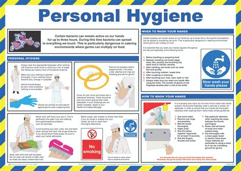 A Manual of Personal Hygiene PDF