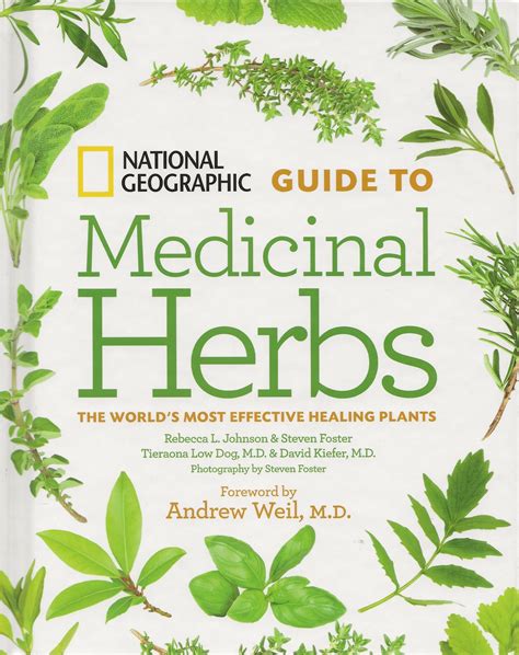 A Modern Guide to Medicinal Herbs PDF