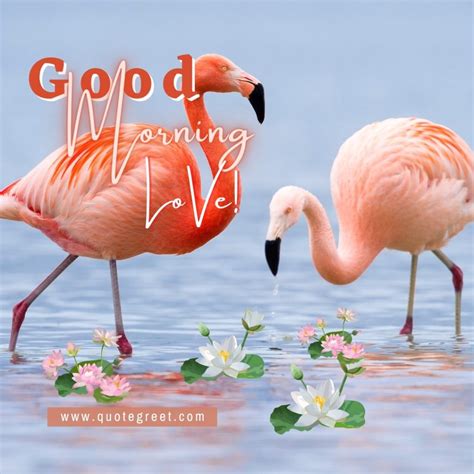 A Morning For Flamingos Epub