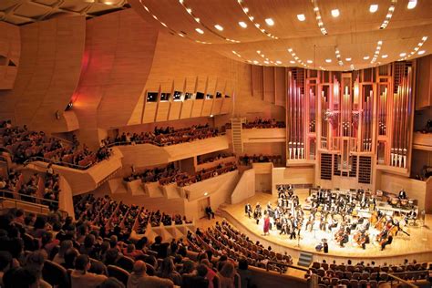 A Musical Odyssey at Nature's Symphony Hall