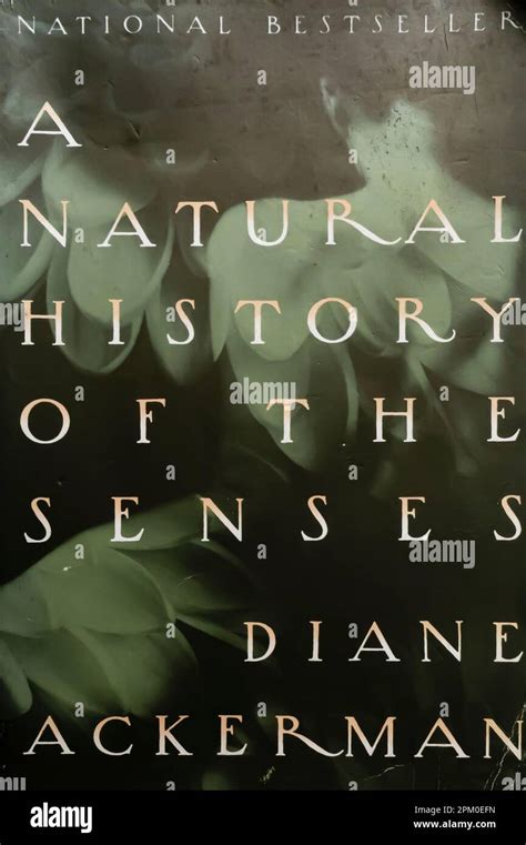 A Natural History of the Senses Doc