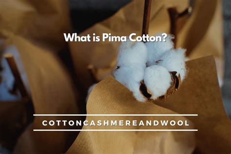 A Natural Wonder: The Essence of Pima Cotton