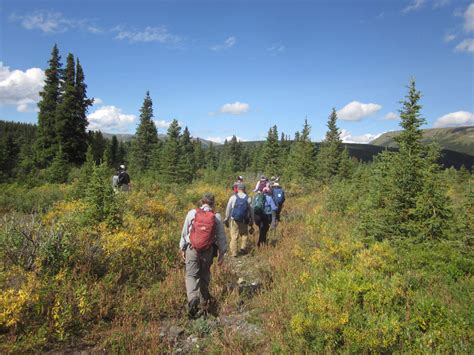 A Naturalist in Alaska Epub