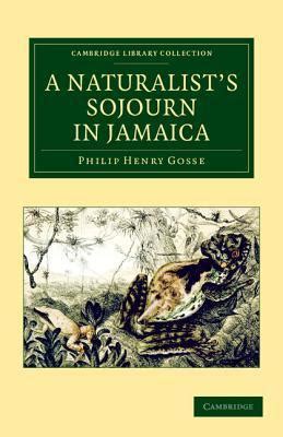 A Naturalist s Sojourn in Jamaica Kindle Editon