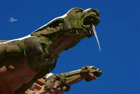 A Nostalgic Revival: Revisiting the Iconic Gargoyles