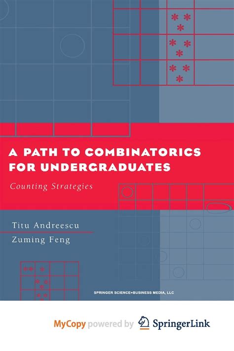 A Path to Combinatorics for Undergraduates Counting Strategies 1st Edition Epub