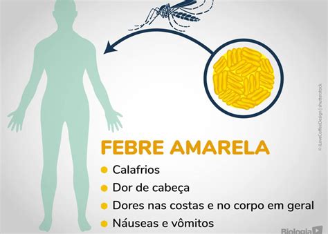 A Peste que Devastou o Brasil: O Impacto Devastador da Febre Amarela