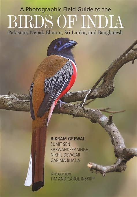 A Photographic Guide to the Birds of India Kindle Editon