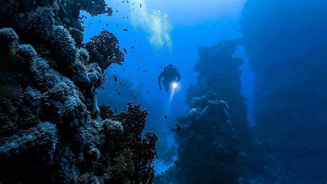 A Profound Journey into the Depths of the Ocean