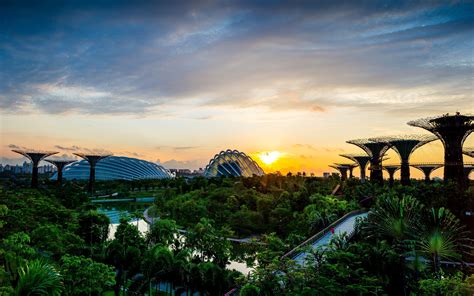 A Promising Landscape for Photography in Singapore