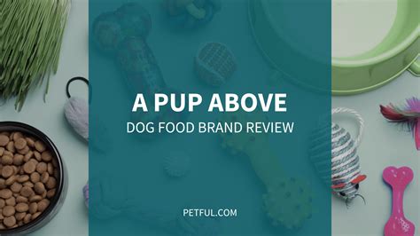 A Pup Above: A Comprehensive Guide to Dog Food Ingredients