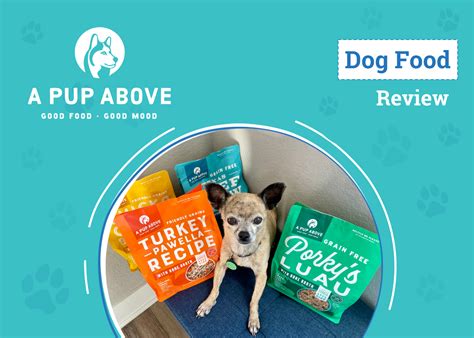 A Pup Above: Dog Health Resources for 2025 and Beyond