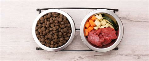 A Pup Above: Unlocking the Secrets of Optimal Dog Nutrition