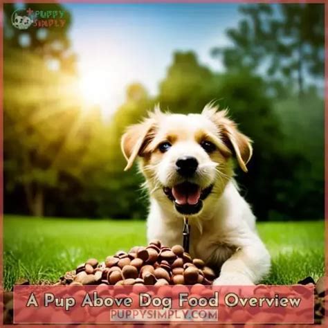 A Pup Above Dog Rescue News: An Overview