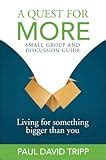 A Quest For More Small Group and Disscusion Guide Living For Something Bigger Than You Reader