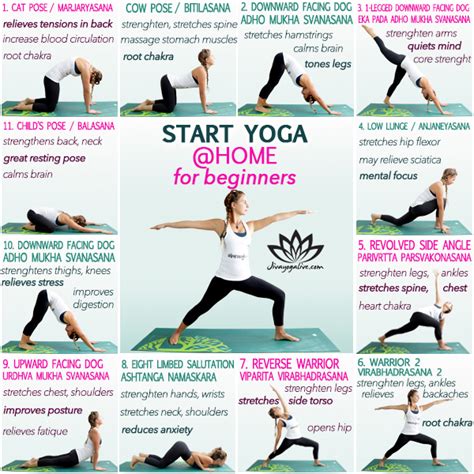 A Quick Start Guide to Beginning Yoga Reader