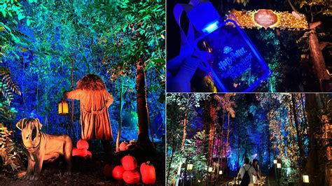 A Realm of Enchanting Encounters: Explore the Forbidden Forest Singapore