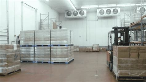 A Revolutionary Guide to Cold Rooms for Beer Storage: Unlocking Optimal Preservation and Enjoyment