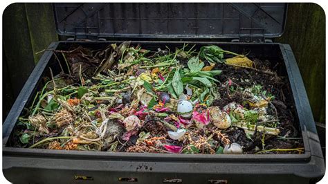 A Revolutionary Way to Transform Kitchen Scraps into Garden Gold