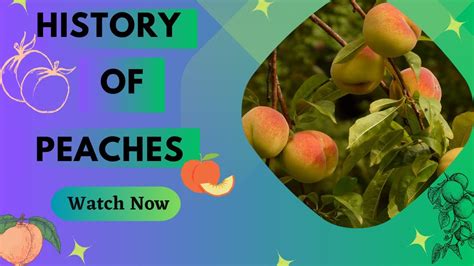 A Rich History of Peach Perfection