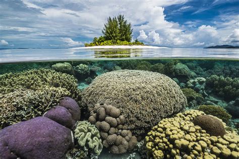 A Sanctuary of Marine Biodiversity