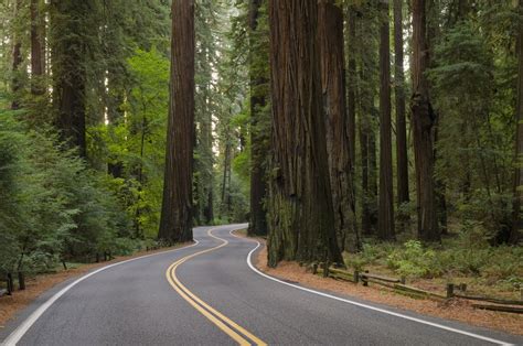 A Scenic Drive Through the Heart of California