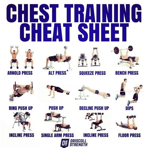 A Step-by-Step Chest Exercise Program