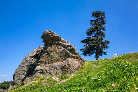 A Stone with a Grief-Stricken History