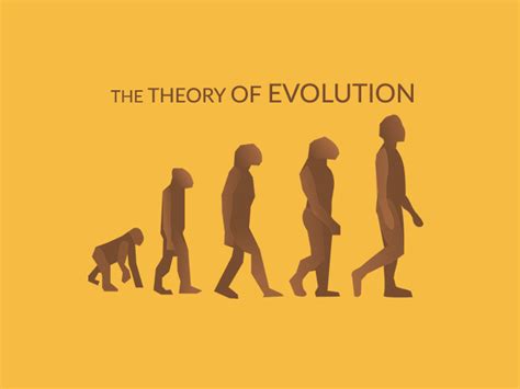 A Superior Evolution: Origins and Design