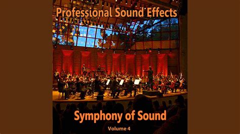 A Symphony of Sounds for Every Occasion