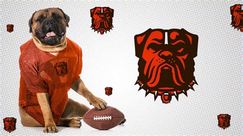 A Tail-Wagging Guide to the Cleveland Browns Dog: Unleashing the Best Companion for Browns Fans