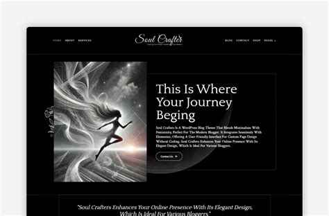A Theme is Best Described as the Soul of Your Website