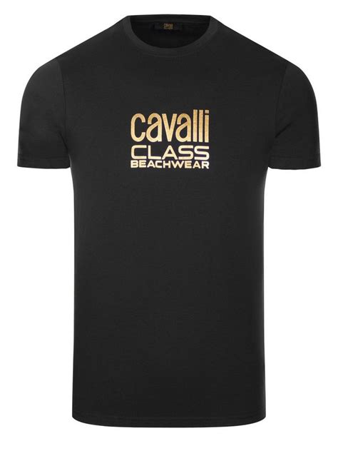 A Timeless Investment: Unveiling the Cavalli Class T-Shirt