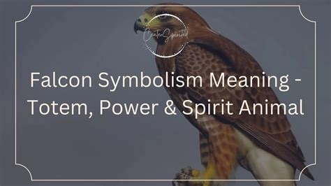 A Timeless Symbol of Falcon Spirit