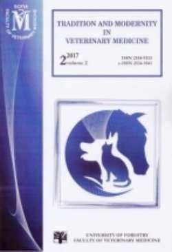 A Tradition of Excellence in Veterinary Medicine
