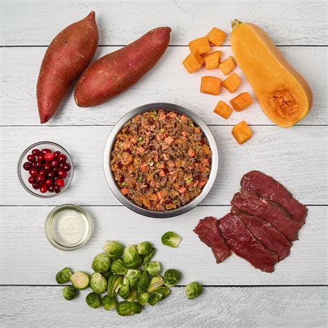 A Treat fit for Hounds: Understanding the Allure of Venison Dog Food