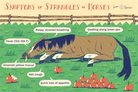 A Treatise on the Inoculation of Horses for the Strangles In Which Is Clearly Laid Down the Manner and Time of the Operation by Richard Ford PDF