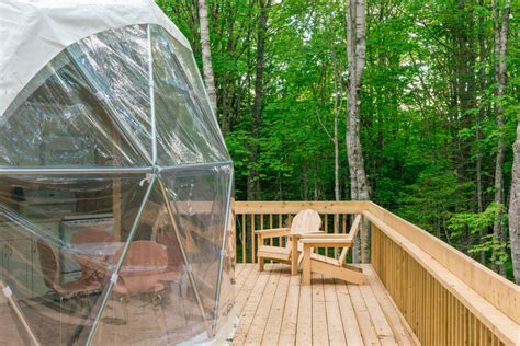 A Treetop Haven: Unveiling the Tree Fort's Structure